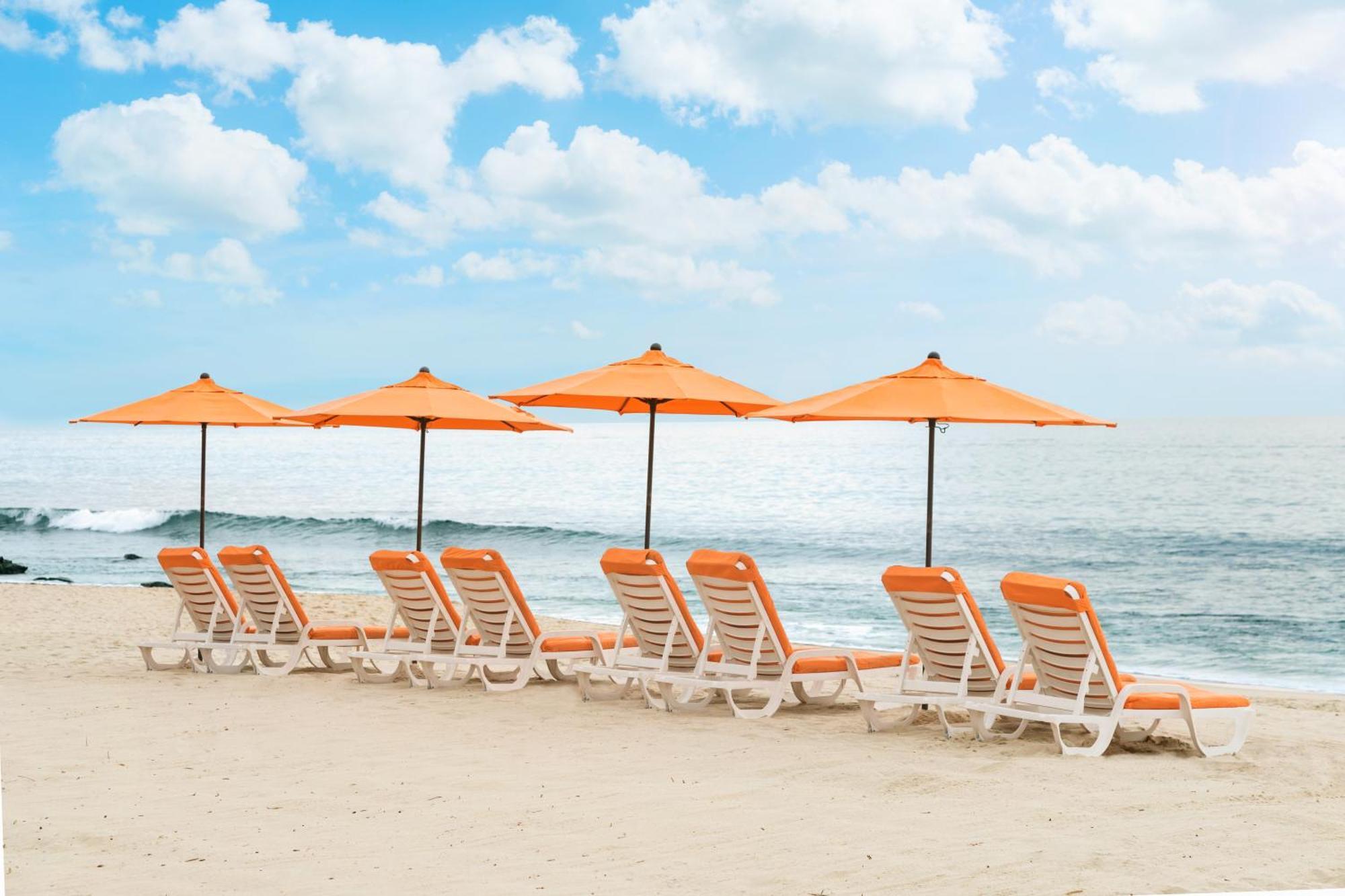 לגונה ביץ' Pacific Edge Hotel מראה חיצוני תמונה
